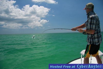 Tampa Bay Tarpon Fly Fishing