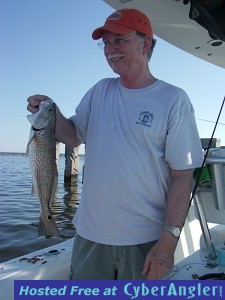 Mr_Tom_Red_Fish