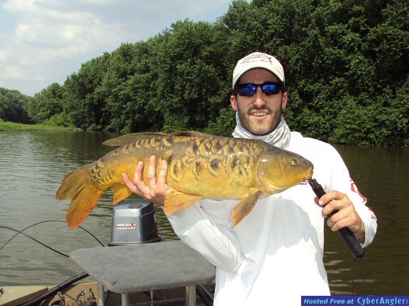Carp on Fly