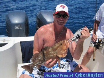 red grouper