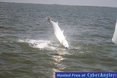 Click to Enlarge Photo