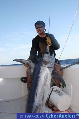 Click to Enlarge Photo