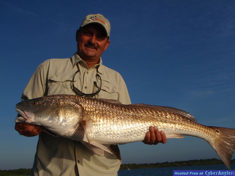 Mosqutio Lagoon Redfish Capt. David Rogers
