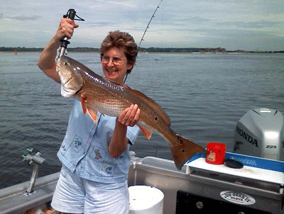 Click to Enlarge Photo