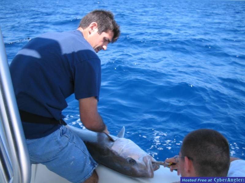 Elliot & Key Largo :: 2005-04-10