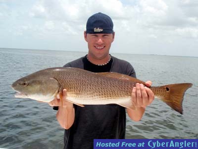 Pine Island Redfish