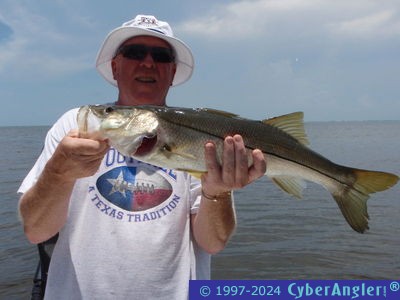 Click to Enlarge Photo