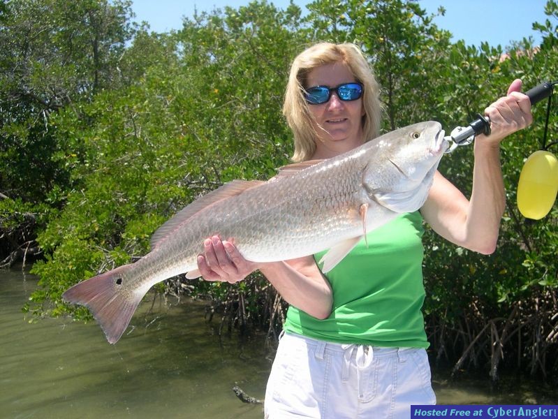 Monster_Reds_II_0152