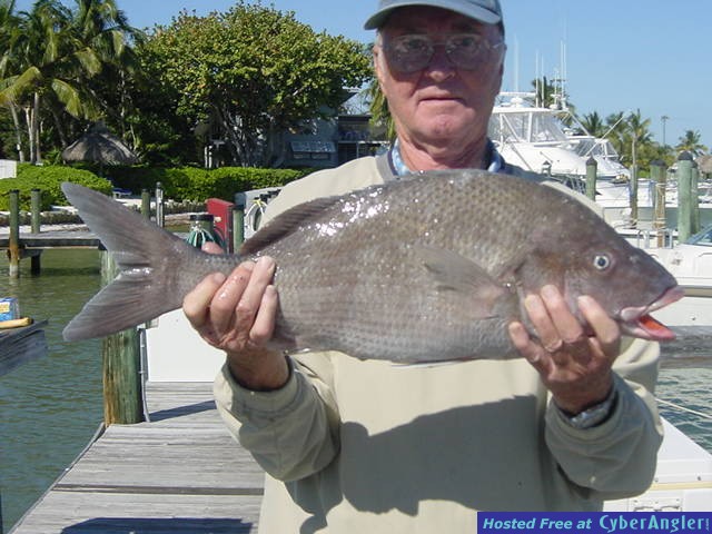 Snapper