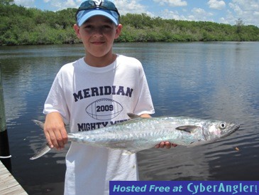 28-inch kingfish