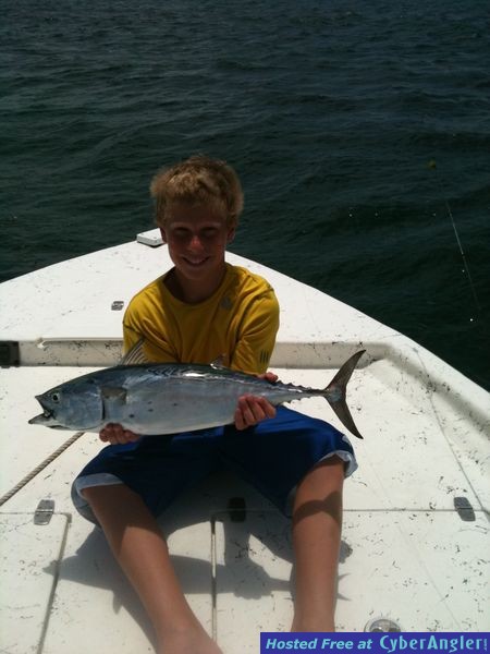 trout_254