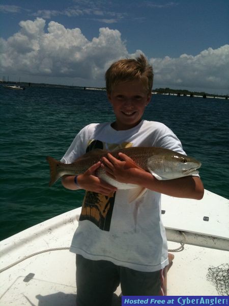 trout_256