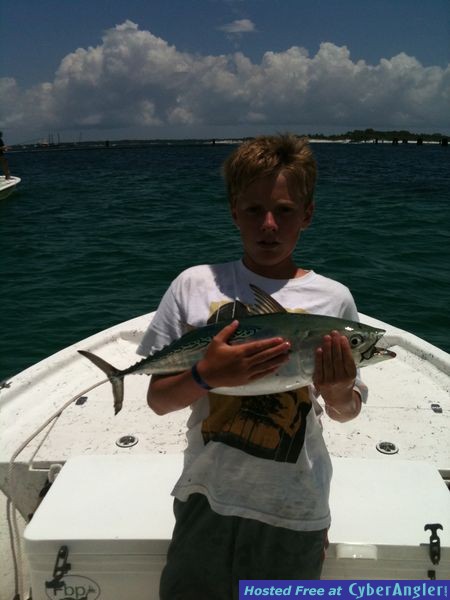 trout_259