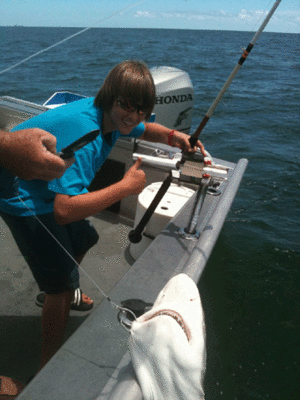 Click to Enlarge Photo