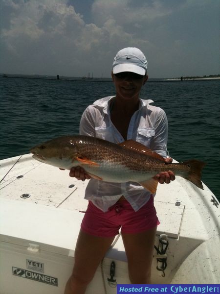 trout_260