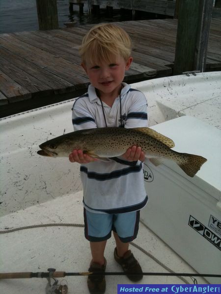 trout_262
