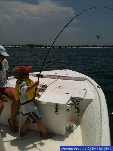 trout_264