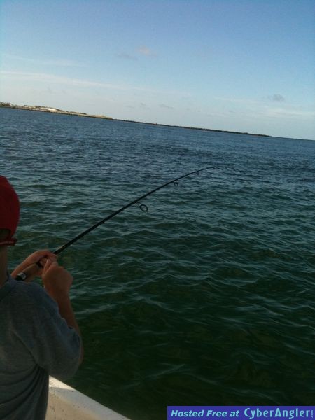 trout_275
