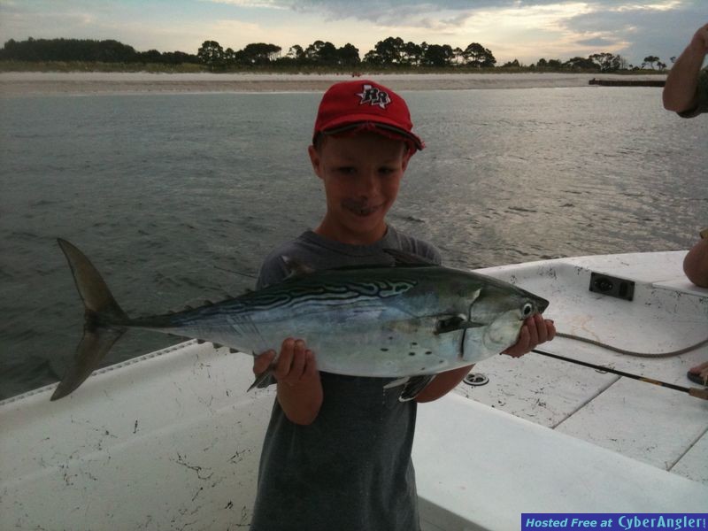 trout_276