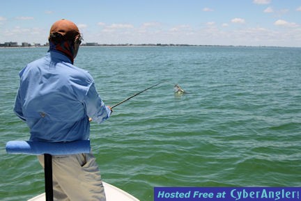 Click to Enlarge Photo