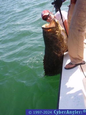 Click to Enlarge Photo