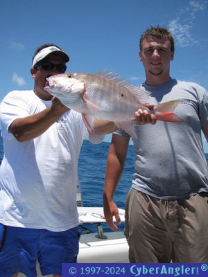 Click to Enlarge Photo