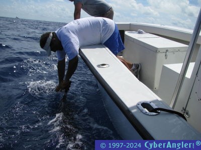 Click to Enlarge Photo