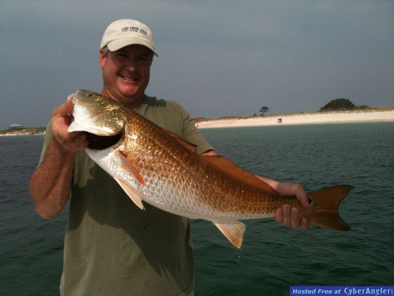 trout_277