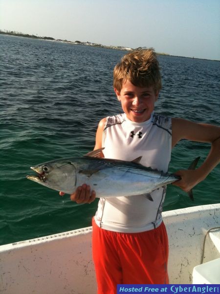 trout_278
