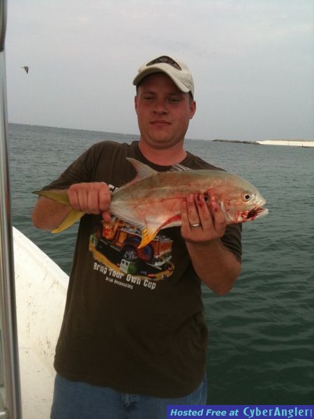 trout_280