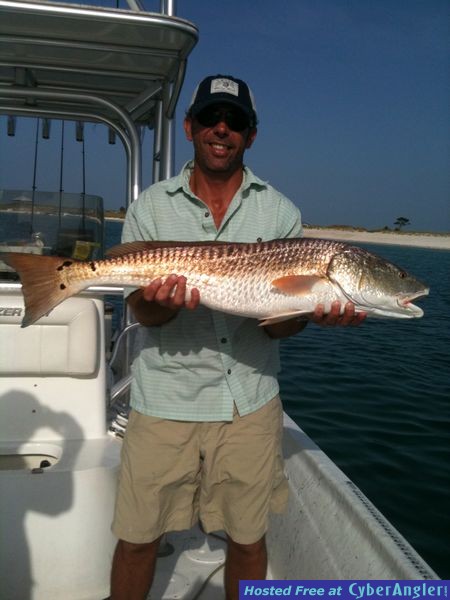trout_283