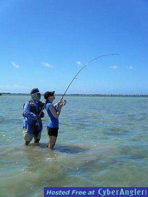 oahu bonefish