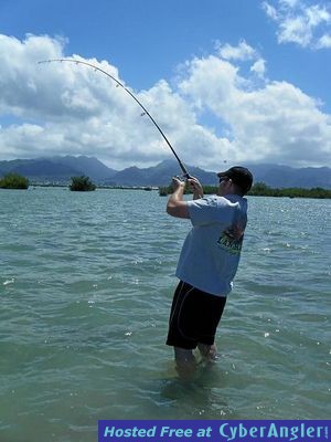 oahu bonefish