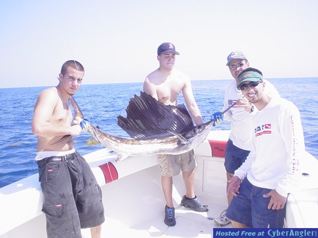 Sailfish1