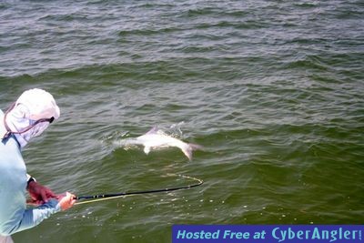 Click to Enlarge Photo