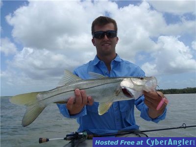 Click to Enlarge Photo