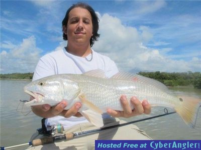 Click to Enlarge Photo