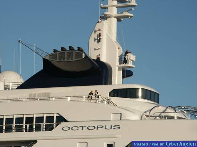 Octopus