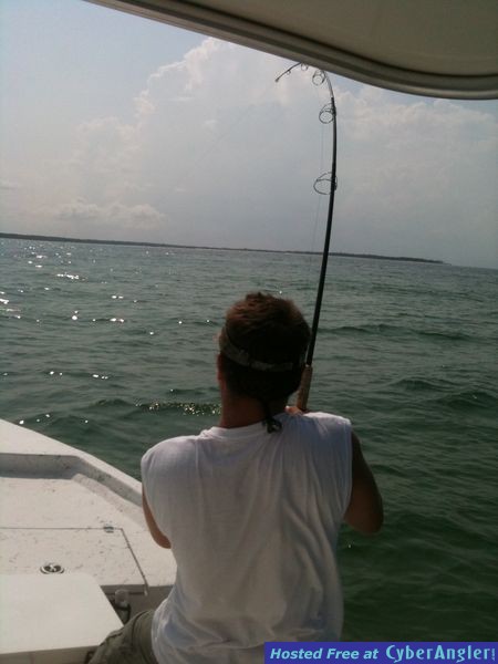 trout_321