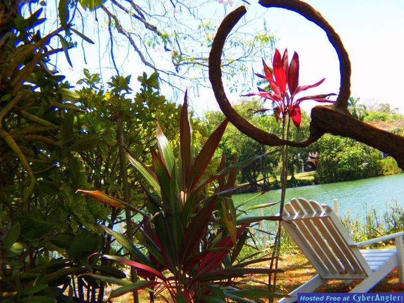 Belize River Lodge
