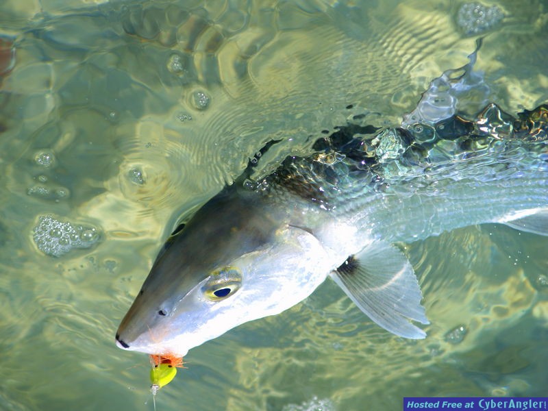 Belize River Lodge