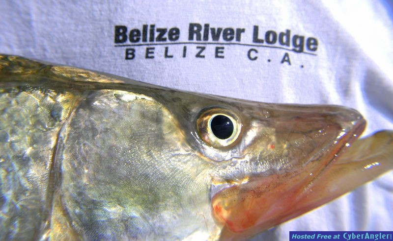 Belize River Lodge