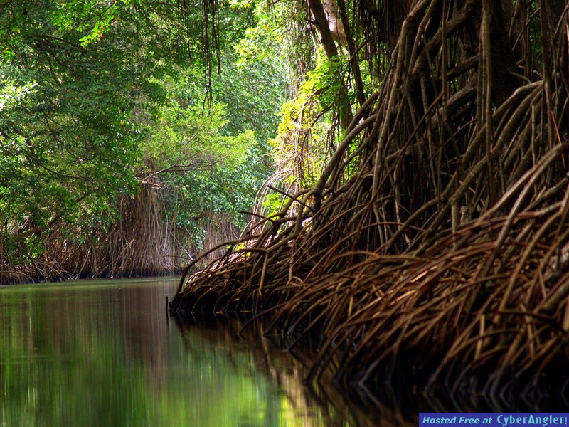 Belize River Lodge