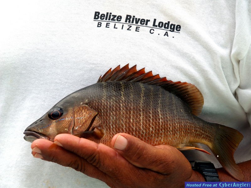 Belize River Lodge