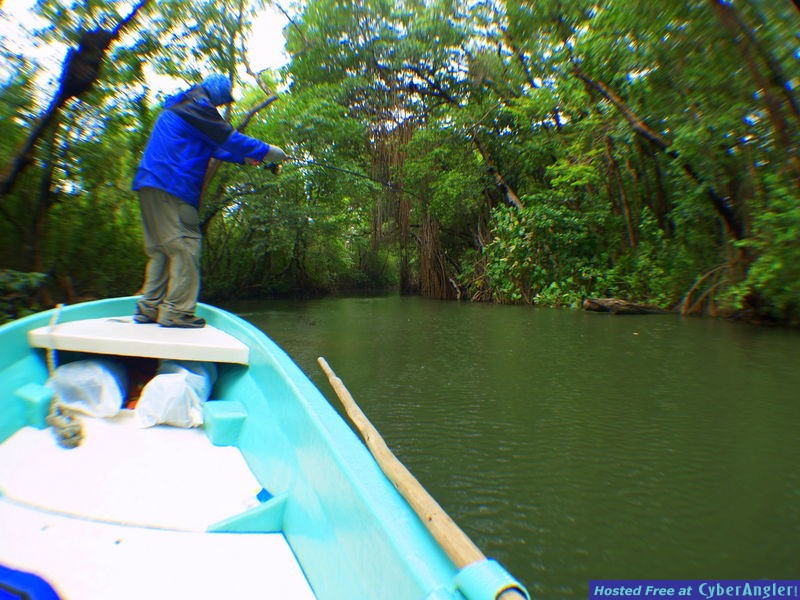 Belize River Lodge