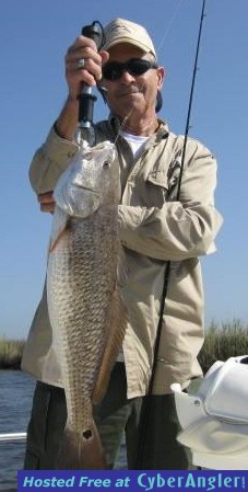 Click to Enlarge Photo