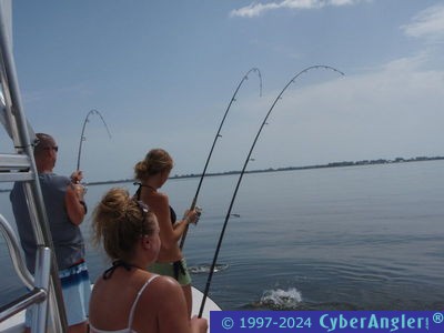 Click to Enlarge Photo