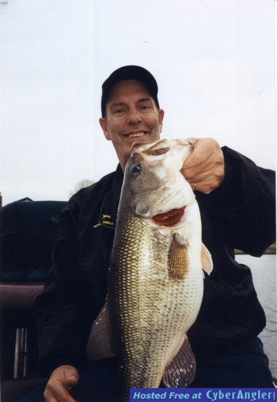 Giant Delaware Bass