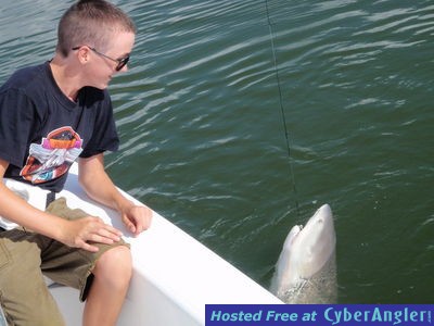 Andrew_Hyack_lemon_shark