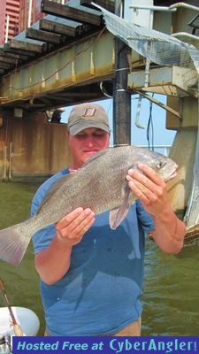 Click to Enlarge Photo